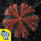 Red Tuxedo Urchin